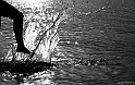 Controluce a Cala d_ambra - (IMG_1935_1)